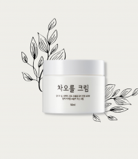 KEM DƯỠNG DA BAN ĐÊM CHAOREUL CREAM